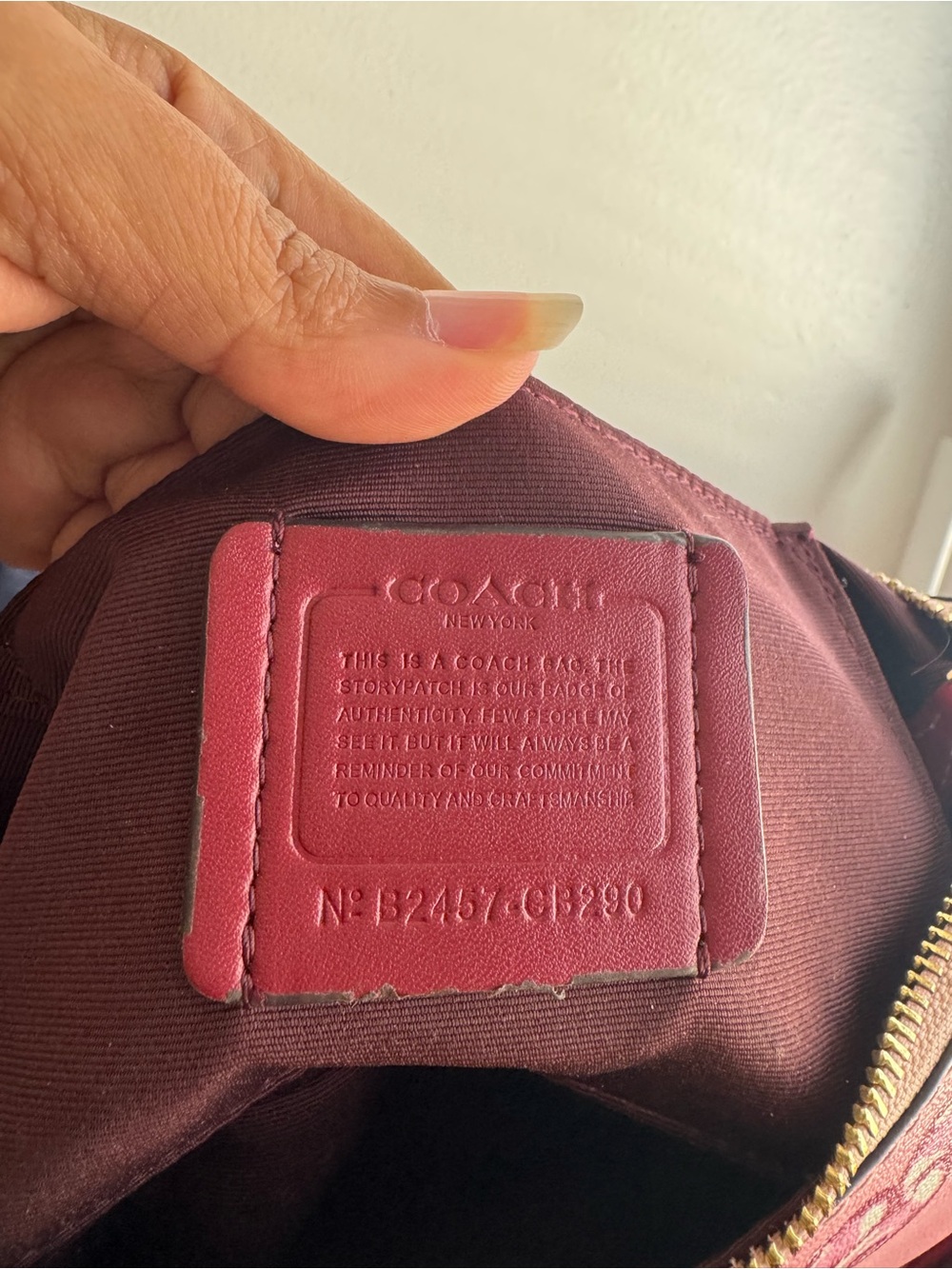 Cherry Print Coach Bag - Picture 5 of 7